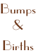 Bumps
&
Births
