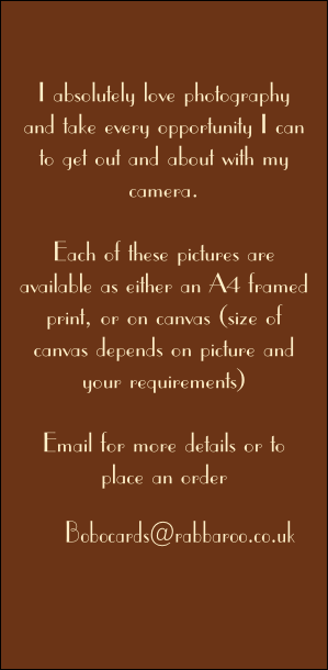 Bobocards@rabbaroo.co.uk



