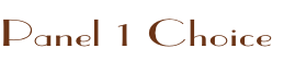 Panel 1 Choice

