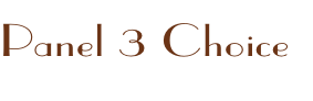 Panel 3 Choice

